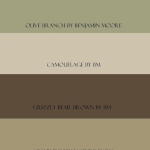 Beach House C: Benjamin Moore paint colors